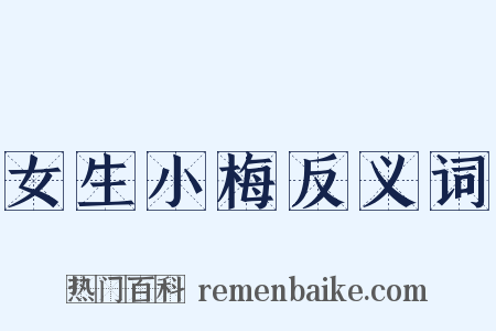 女生小梅反义词是什么意思的图片